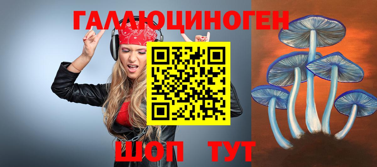где можно купить   Вход с VPN  Красногорск  Псилоцибиновые грибы Magic Shrooms  Псилоцибиновые грибы прущие грибы 